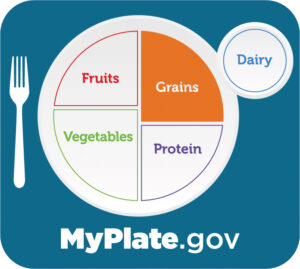 American Diet Plate